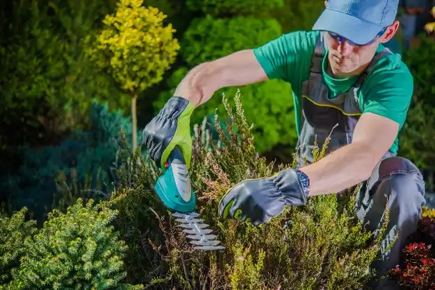 landscaping services Kimberling City